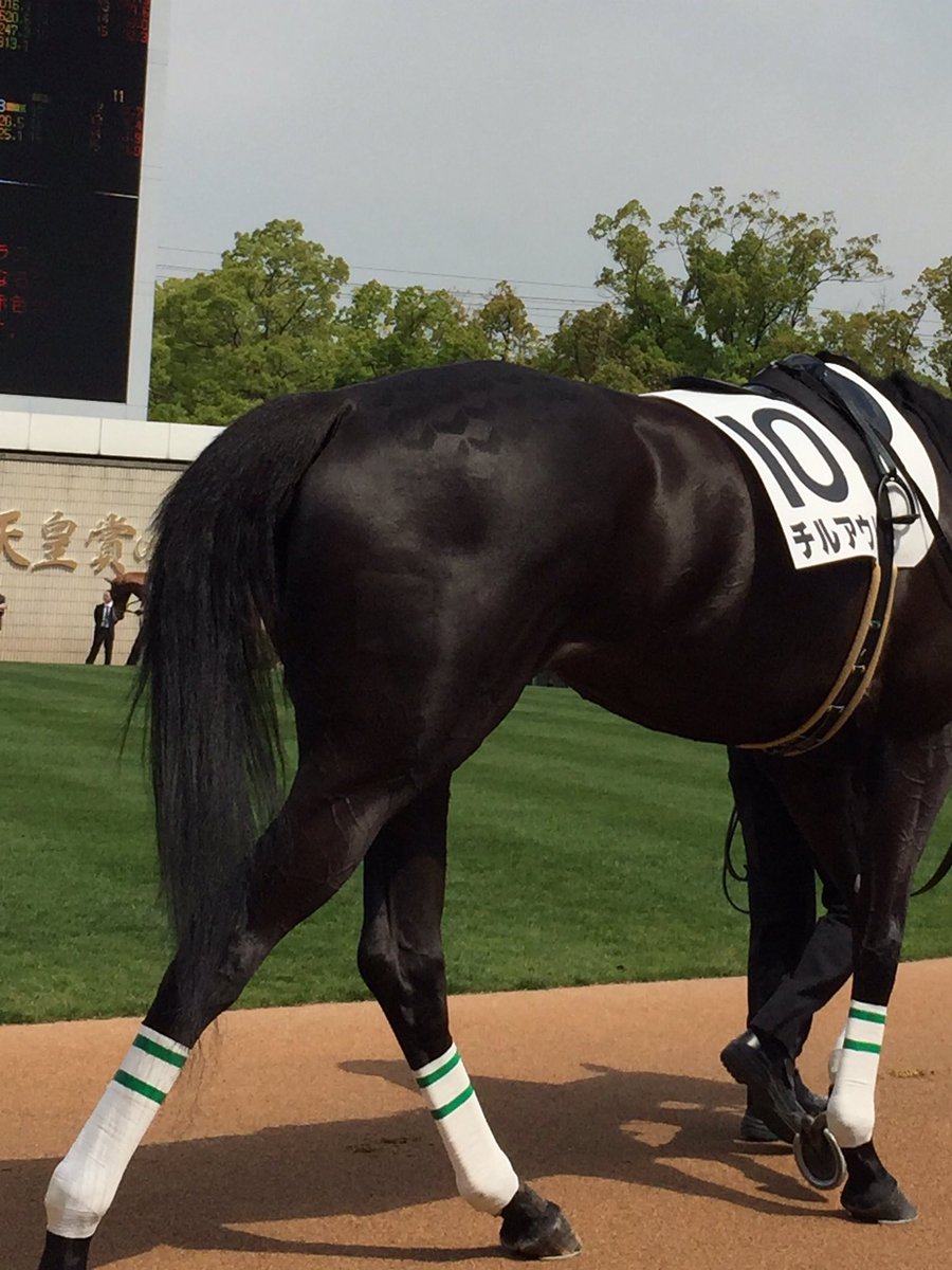 日刊ゲンダイ 競馬 パドックを 倍楽しむ方法 馬のトモ部分のマーカー 模様 は厩務員さんの馬への愛情の証です これはチルアウト 様々な模様があるので見つけてみて下さい マーカー チルアウト 日刊ゲンダイ 競馬 パドックを 倍楽しむ方法 馬のトモ部分のマーカー 模様 は厩務員さんの馬への愛情の証です これはチルアウト 様々な模様があるので見つけてみて下さい マーカー チルアウト