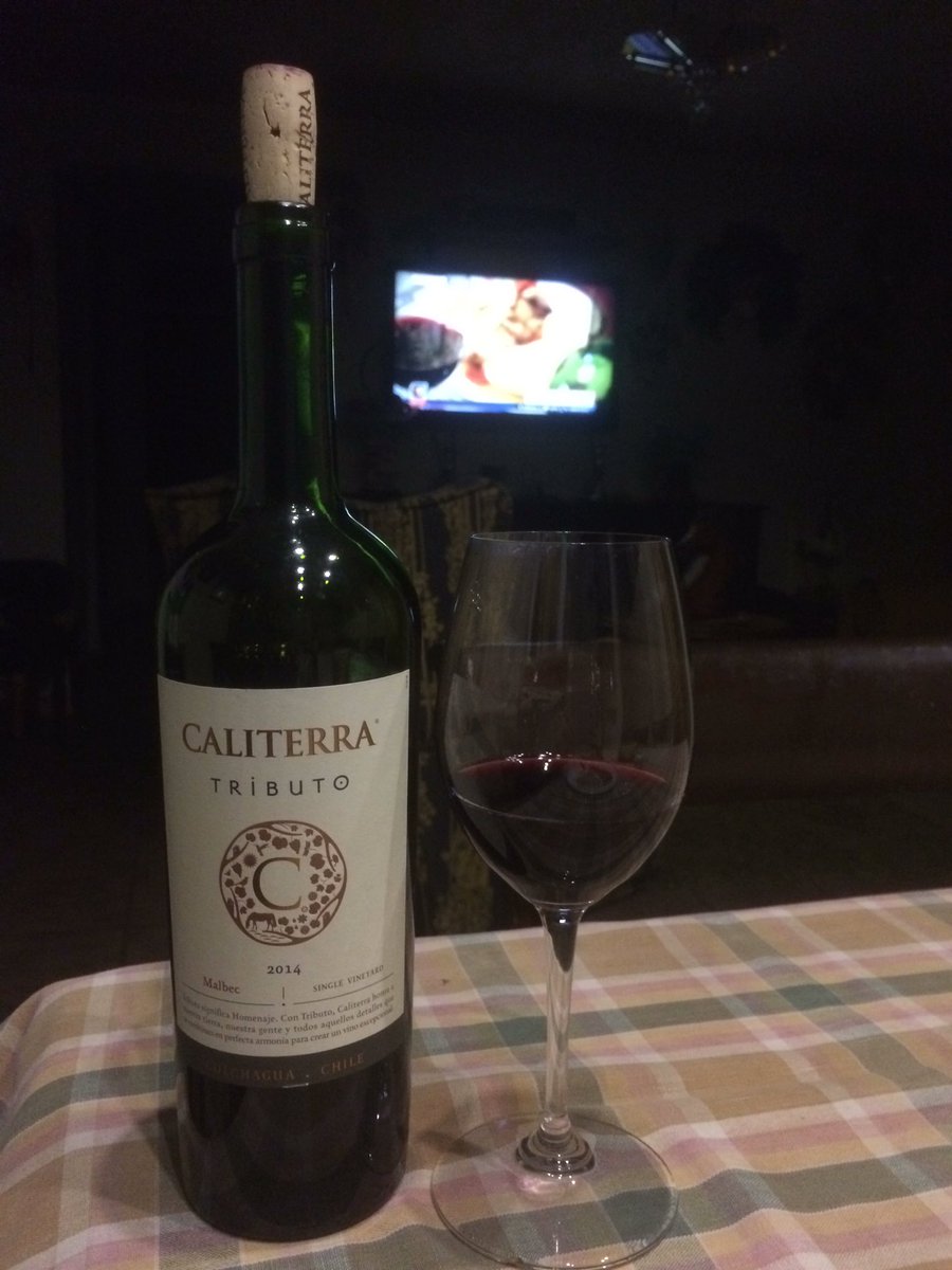 cayo548's tweet photo. Coincidencia viendo #HayQueIr #ValleDeColchagua @T13 y yo con un buen #Malbe de viña @Caliterra Tributo de esta zona 🍷 salud! https://t.co/eJUjalcGK0