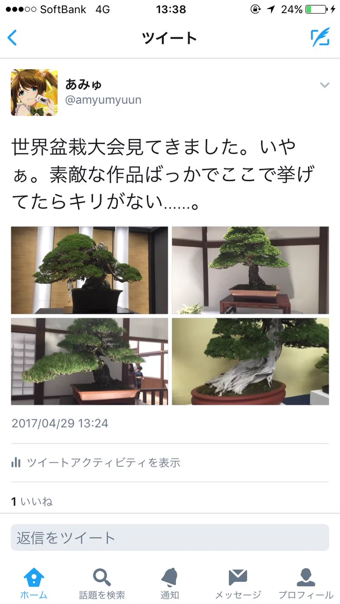 この例えで合ってる？盆栽の例えでこれが適当？ｗｗｗ