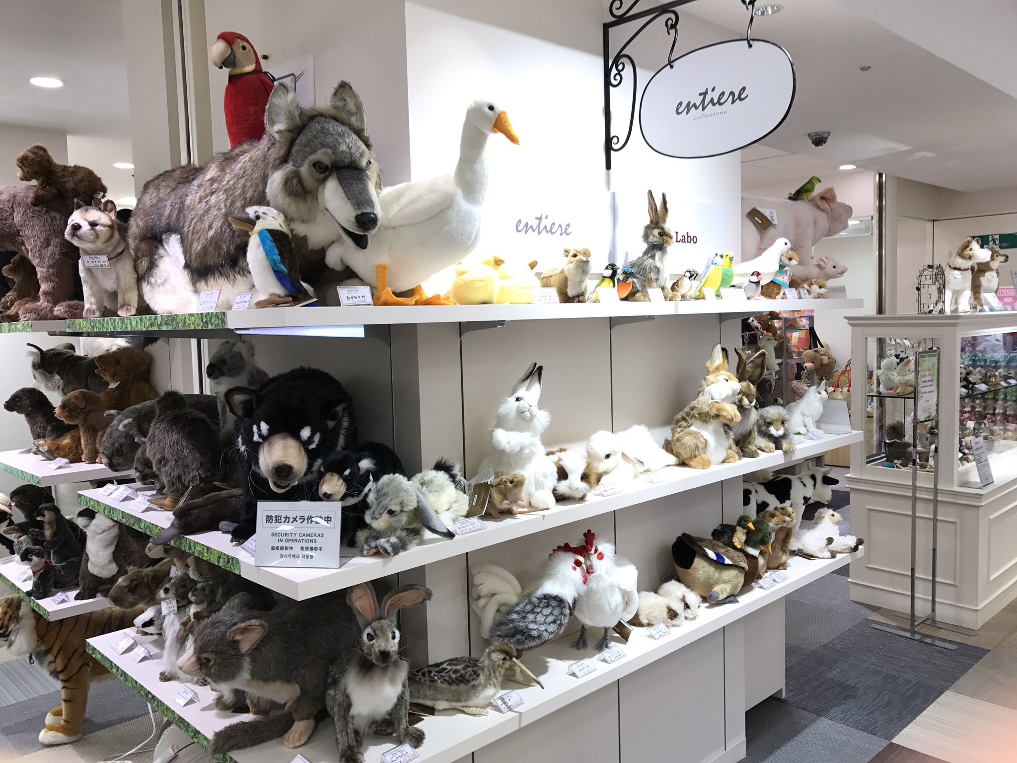 あずまさんのツイート 西武池袋7階にある ぬいぐるみ用の洋服屋さん Bear Labo に行ってきました べべちゃんサイズの洋服もありました 洋服のサイズはss Ll べべちゃんはほぼssサイズで ダッフィにも着せられるサイズもありました