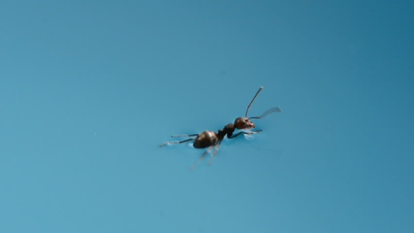 Sheldon Cooper tweet media