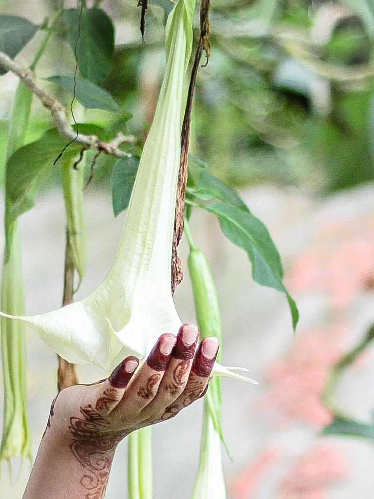 bisha29786's tweet photo. Yeah I'm a #NatureAdmirer
#2K14Click #DslrClick
#Mehendi by #Me π
#CameronHighlands #Malaysia #MissMyOoru #BishaEditz #MyEditz #Bisha_Editz https://t.co/yxLTUbTXJ0