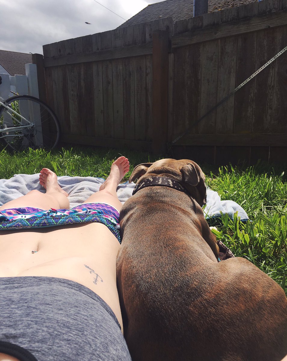 MacyLeeMarquez's tweet photo. Enjoyed the #sunshine with my #pupper today https://t.co/xItKSiYYJV
