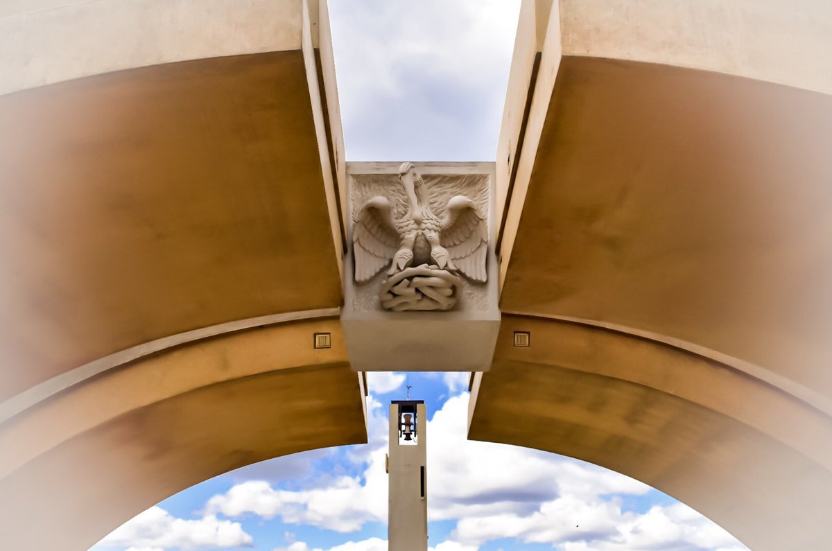 NeateImages's tweet image. The Pelican taken from the Von Mandl family crest on the Keystone to the arch entering the… @AP_Magazine instagram.com/p/BTdXUfRADVF/