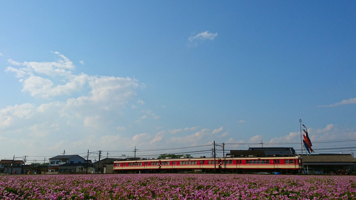 1100型と蓮花畑
 神戸電鉄粟生線 葉多駅付近にて
 ホントに神鉄最高すぎる(*´∀｀)