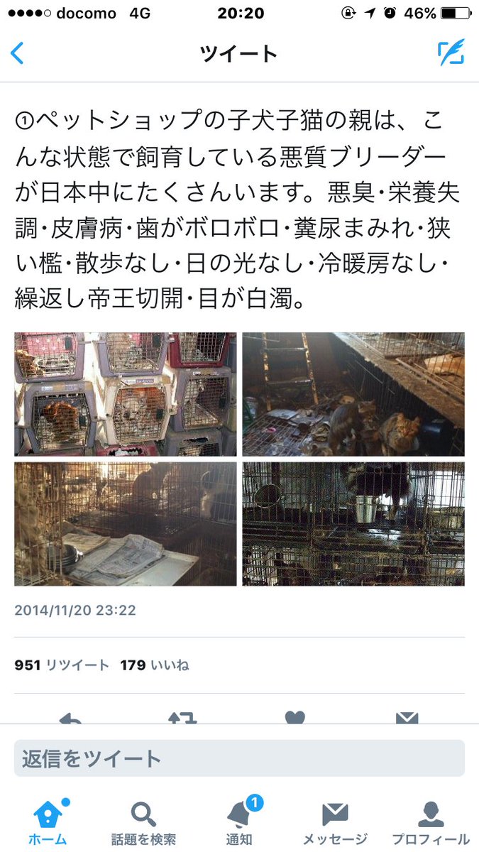 ログ A Twitter 動物だって人間と同じ生き物なのにどうしてこんな酷いことされなきゃいけないの 動物は殺されるために生まれてきたんじゃないんだよ 人間の勝手な都合で殺してさ てか 命に値段をつける意味がわからない 海外を見習ってペットショップ無くせばいい