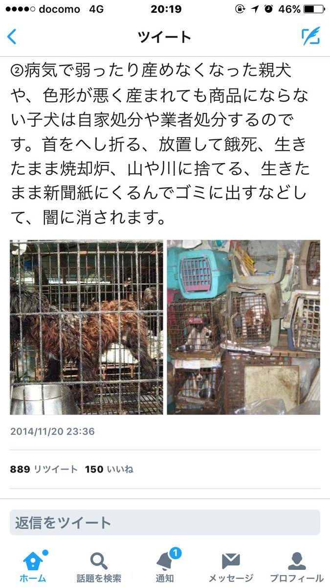 ログ A Twitter 動物だって人間と同じ生き物なのにどうしてこんな酷いことされなきゃいけないの 動物は殺されるために生まれてきたんじゃないんだよ 人間の勝手な都合で殺してさ てか 命に値段をつける意味がわからない 海外を見習ってペットショップ無くせばいい ログ A Twitter 動物だって人間と同じ生き物なのにどうしてこんな酷いことされなきゃいけないの 動物は殺されるために生まれてきたんじゃないんだよ 人間の勝手な都合で殺してさ てか 命に値段をつける意味がわからない 海外を見習ってペットショップ無くせばいい