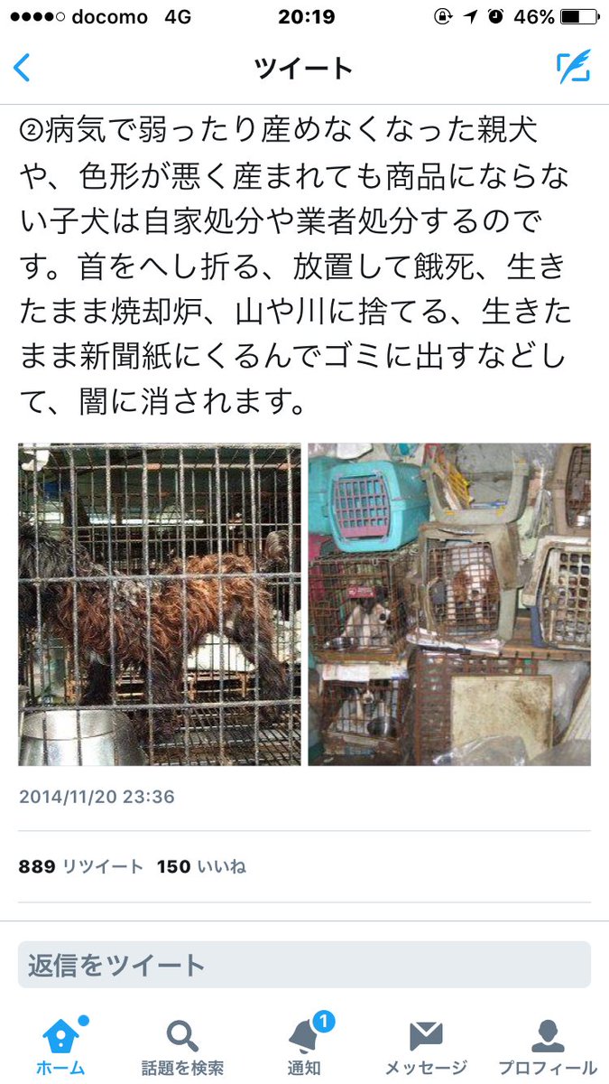 ログ A Twitter 動物だって人間と同じ生き物なのにどうしてこんな酷いことされなきゃいけないの 動物は殺されるために生まれてきたんじゃないんだよ 人間の勝手な都合で殺してさ てか 命に値段をつける意味がわからない 海外を見習ってペットショップ無くせばいい