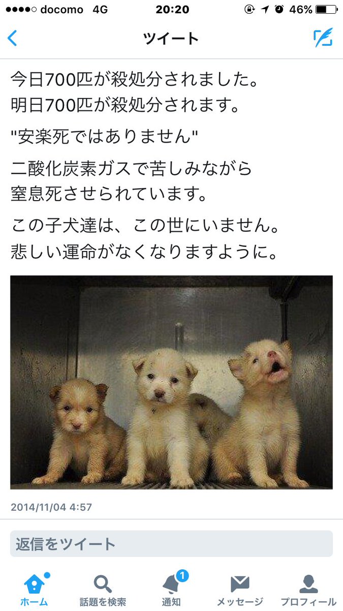 ログ A Twitter 動物だって人間と同じ生き物なのにどうしてこんな酷いことされなきゃいけないの 動物は殺されるために生まれてきたんじゃないんだよ 人間の勝手な都合で殺してさ てか 命に値段をつける意味がわからない 海外を見習ってペットショップ無くせばいい ログ A Twitter 動物だって人間と同じ生き物なのにどうしてこんな酷いことされなきゃいけないの 動物は殺されるために生まれてきたんじゃないんだよ 人間の勝手な都合で殺してさ てか 命に値段をつける意味がわからない 海外を見習ってペットショップ無くせばいい
