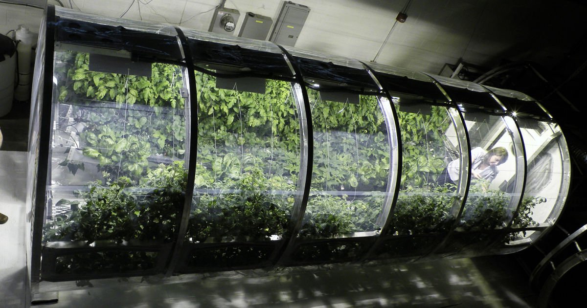 euromaestro's tweet photo. NASA's inflatable greenhouse could feed astronauts on Mars https://t.co/FRDSTPVTil by #engadget https://t.co/5u2mXGOWC8