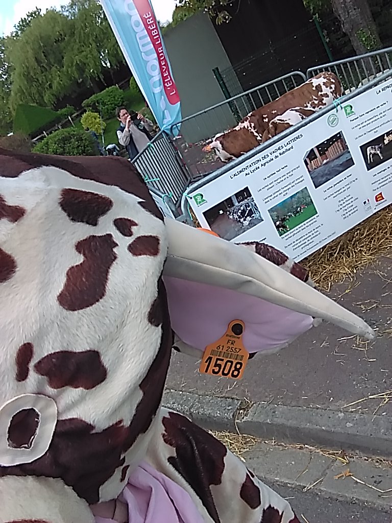 Robisback2017's tweet image. 