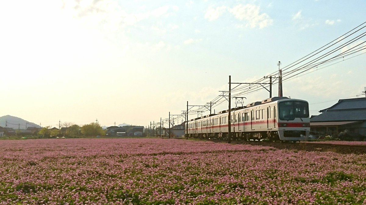 5000型と蓮花畑
 神戸電鉄 葉多駅付近にて