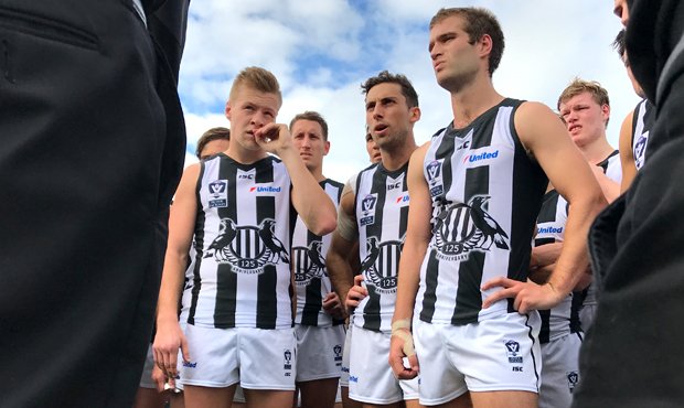 VFL: Half time update from Sandringham collingwoodmagpies.footyplus.net/news/vfl-half-… #afl #footy