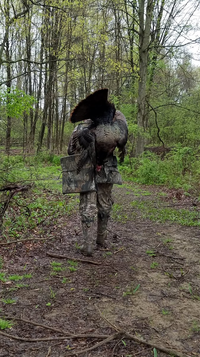 eeakin8's tweet image. .@taint61 #CantStopTheFlop