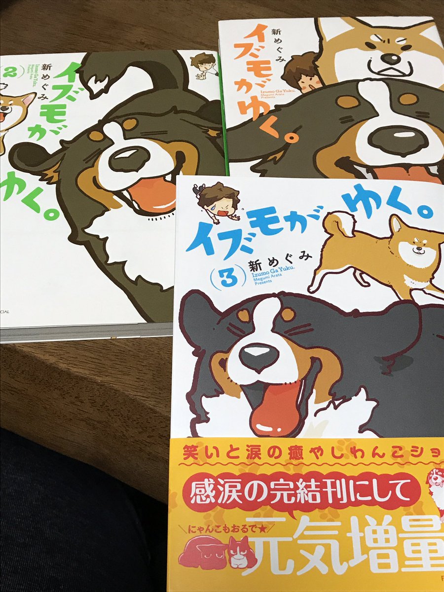 イズモがゆく イズモがゆく