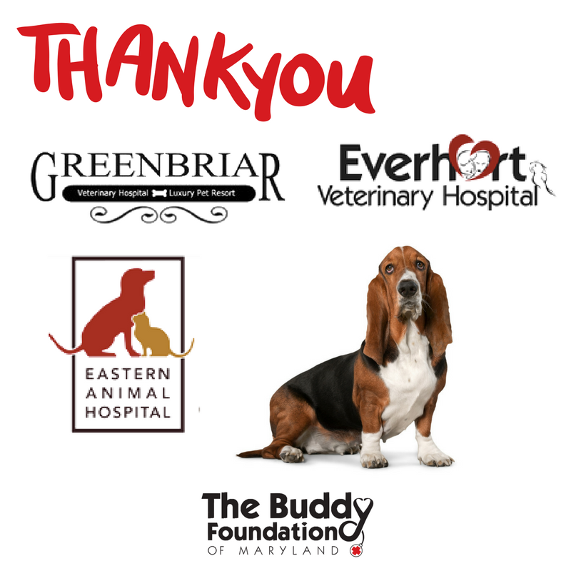 This World Veterinary Day, The Buddy Foundation of Maryland would like to thank all of our veterinary hospital partners! ❤️ 👨‍⚕️👩‍⚕️