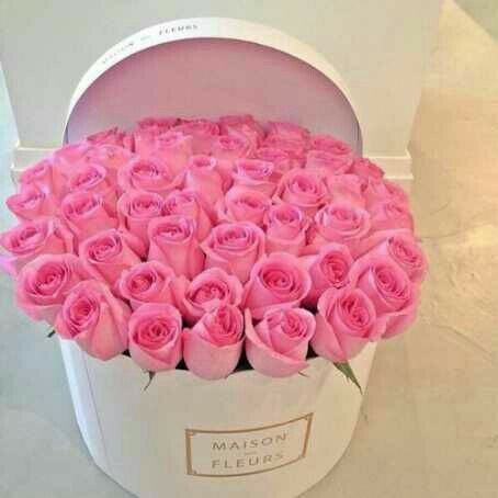 egnlcey's tweet photo. @holysftbby noh buat lu wkwk https://t.co/zKHwKqMEjg
