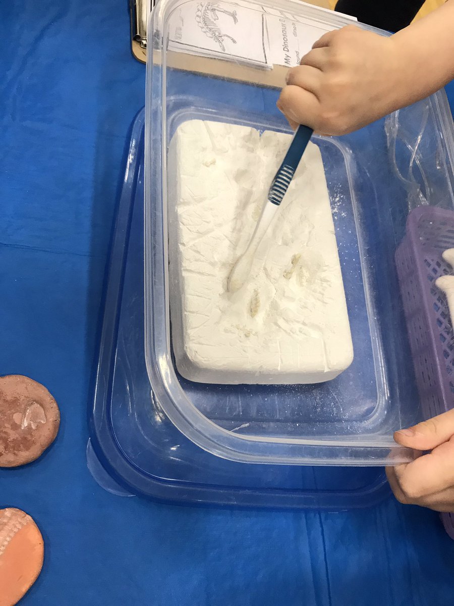 shawnanj's tweet photo. A great morning learning about dramatic play with #eips Kindergarten teachers.Thanks 4 sharing Shannon &amp; @FortElementary K students&amp;parents! https://t.co/uJzo4oXUjK