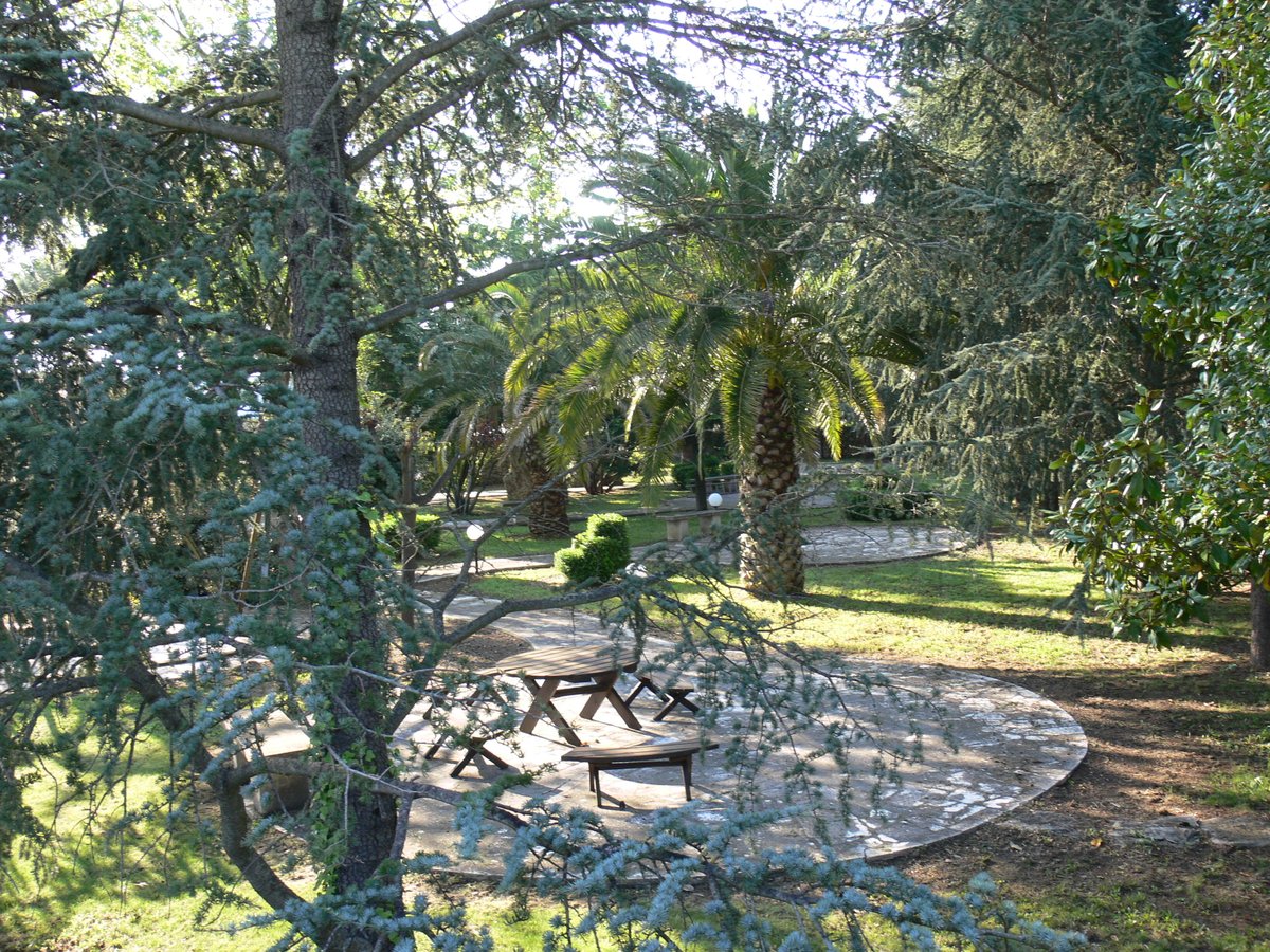 CoralloGroup's tweet image. A volte la serenità sta nelle piccole cose, una dolce compagnia, un accenno di primavera e camminare spensierati.
#corallo #Boschetto