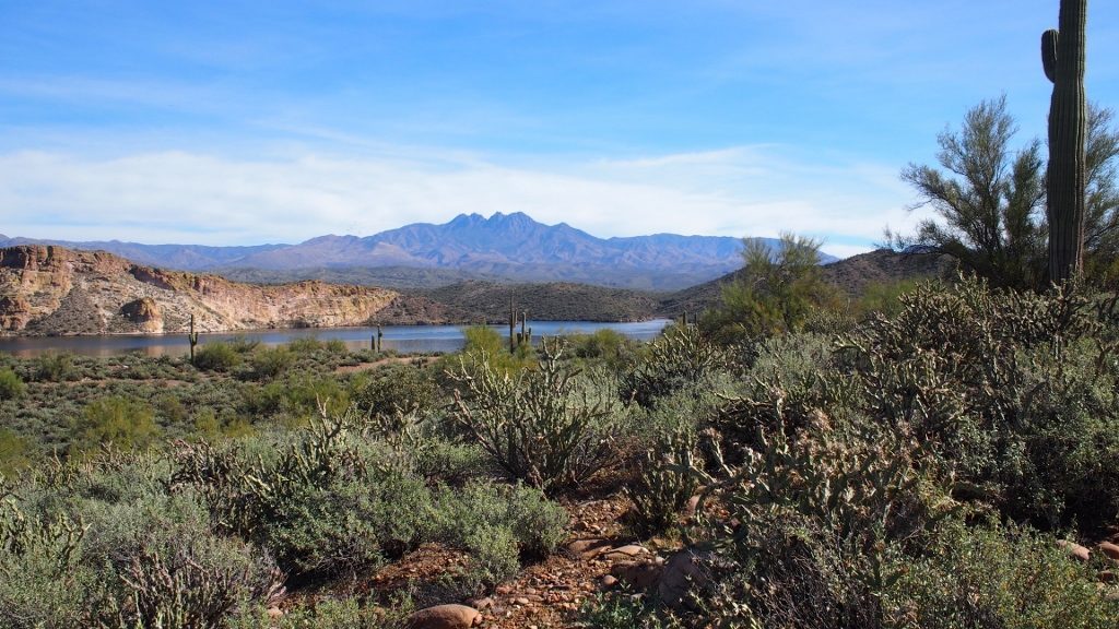 My Climate Action List, LP Style #biomimicry thinkbiomimicry.com/2017/04/29/my-…