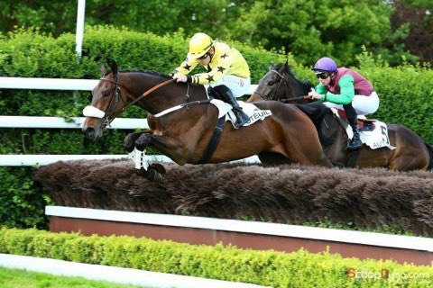 FGProprietaires's tweet photo. CALOTIN fait briller les couleurs de J. Andt (Storm of Saintly) dans le Prix Wild Monarch (L.) @fg_auteuil https://t.co/HpE0op6PuW