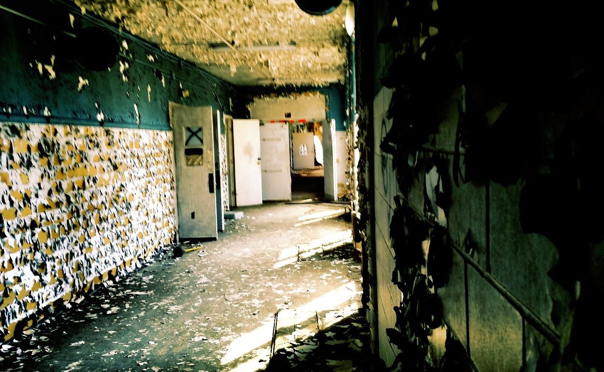 Chris Maggard tweet media