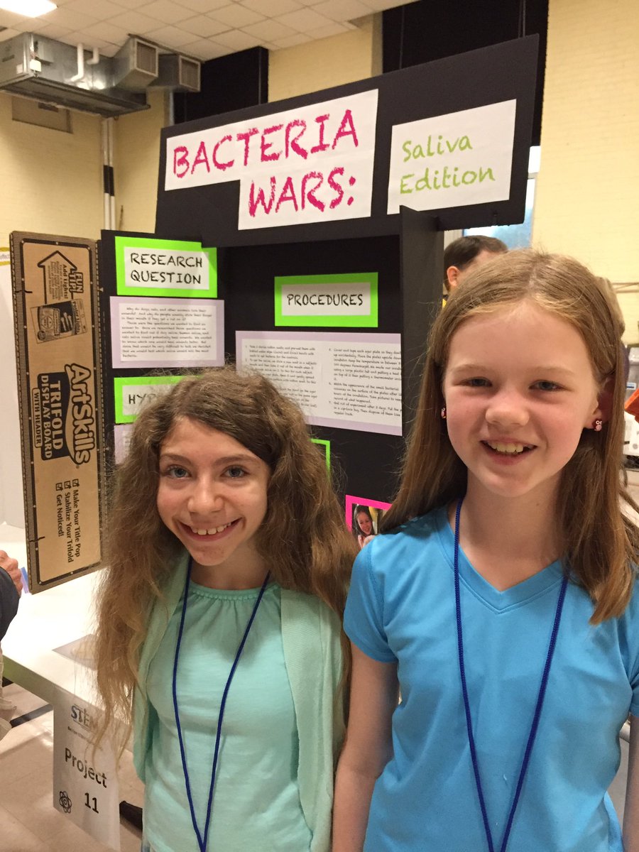 Does Dog Saliva Kill Bacteria