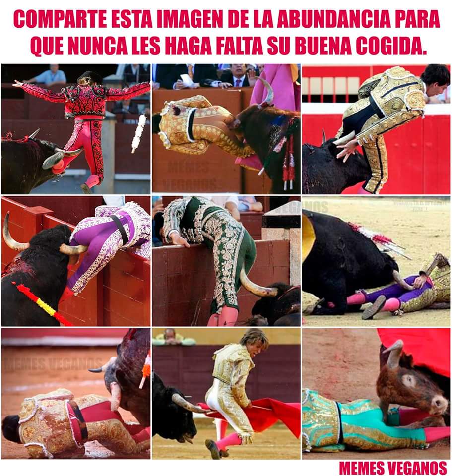 helldeduchapunk's tweet image. No os preocupeis, es arte, no les duele....
#TauromaquiaEsViolencia