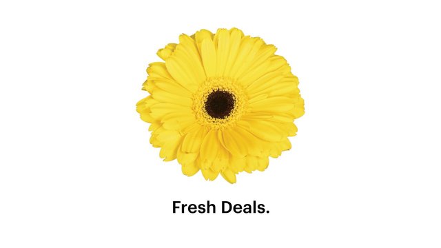 crysm's tweet image. Don’t miss #SprintSalesBloom #TODAY! Fresh deals at your nearest Sprint store! Hurry in before they are gone. bit.ly/2qjgA0i
