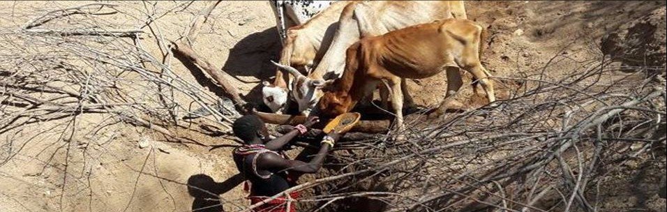 FBLN_media's tweet photo. #FBLN and #TheWaterChannel Newsflash on the #Drought in #EastAfrica, and what to do! https://t.co/GBgv7au1zV https://t.co/U91MSuqkTY
