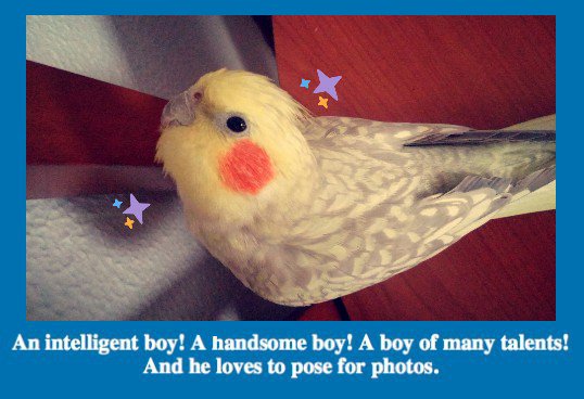 Sputnik The Birb tweet media
