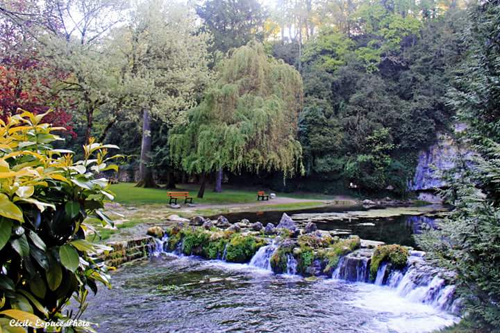 cecile_borlot's tweet photo. #sourcesdeladouix. #châtillonsurseine.#hautecotedor #magnifiquebourgogne. https://t.co/EhnZw3S6JJ
