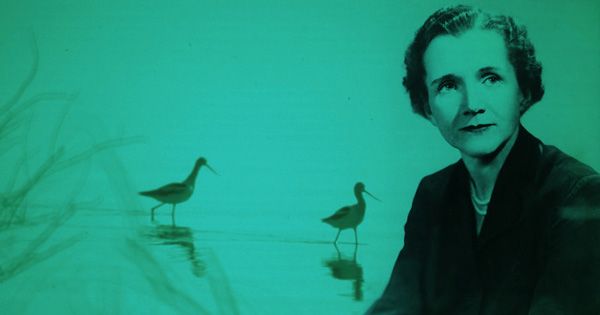 Lest we forget, #ClimateMarch wouldn't exist without Rachel Carson, who awakened the modern climate conscience brainpickings.org/2017/01/27/rac…