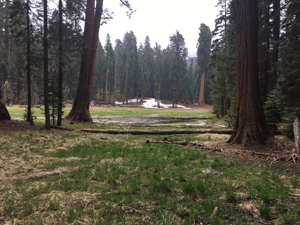 Round Meadow in Sequoia National Park.