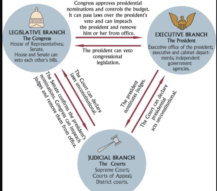 Checks Balances Chart