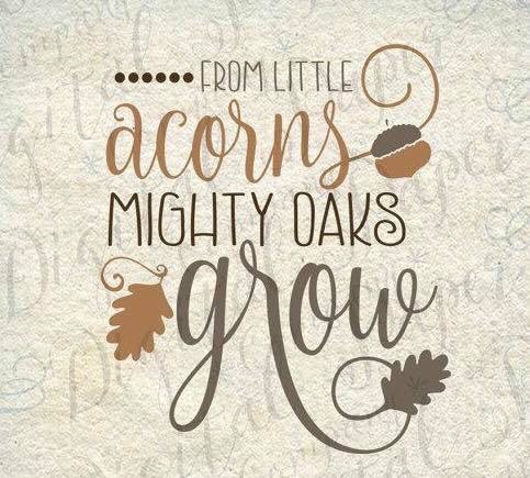 Remember to thank our teachers this week! #thankateacher #teacherappreciation