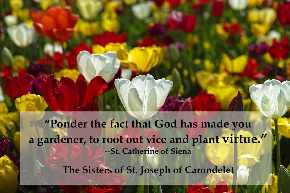 csjalbany's tweet photo. On the feast of #StCatherineofSiena, let us pray to be #peacemakers and people with #discerninghearts who seek the #truth! #CSJCharism https://t.co/NWFC3Snt4d