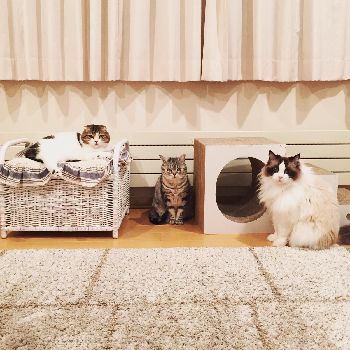 この決めポーズは！まるでブルゾンちえみwithBみたいw