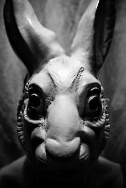 Our weekend vibes. How about you? #creepycool