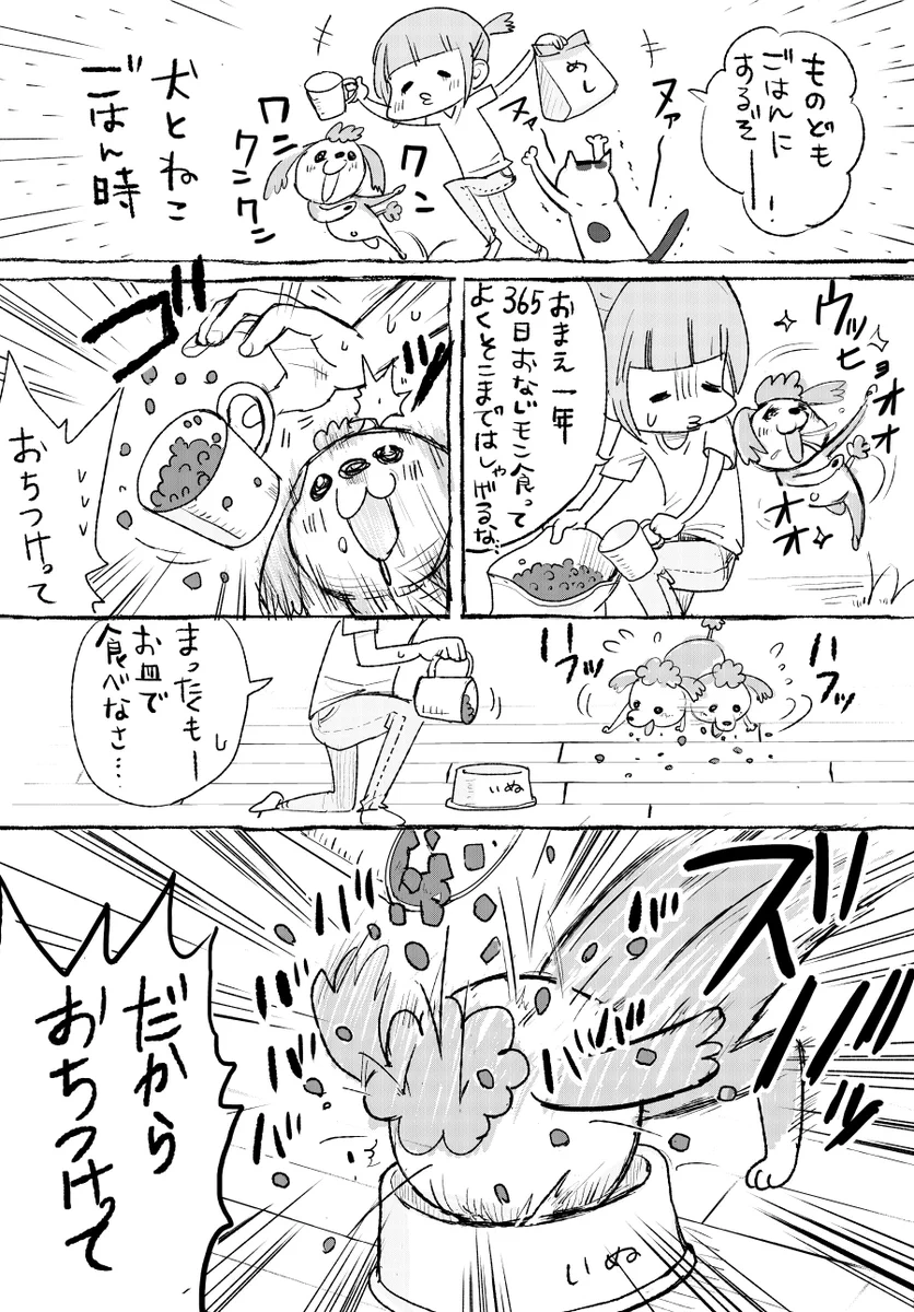 犬猫飼いあるある！！ドタバタ感が可愛いすぎw