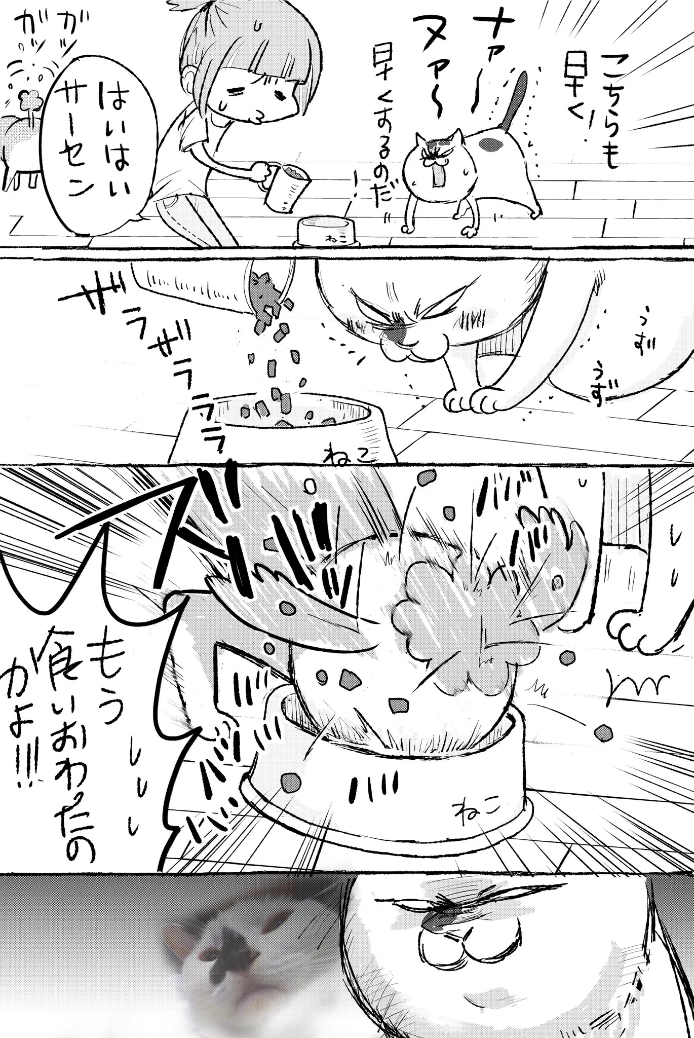 犬猫飼いあるある！！ドタバタ感が可愛いすぎw