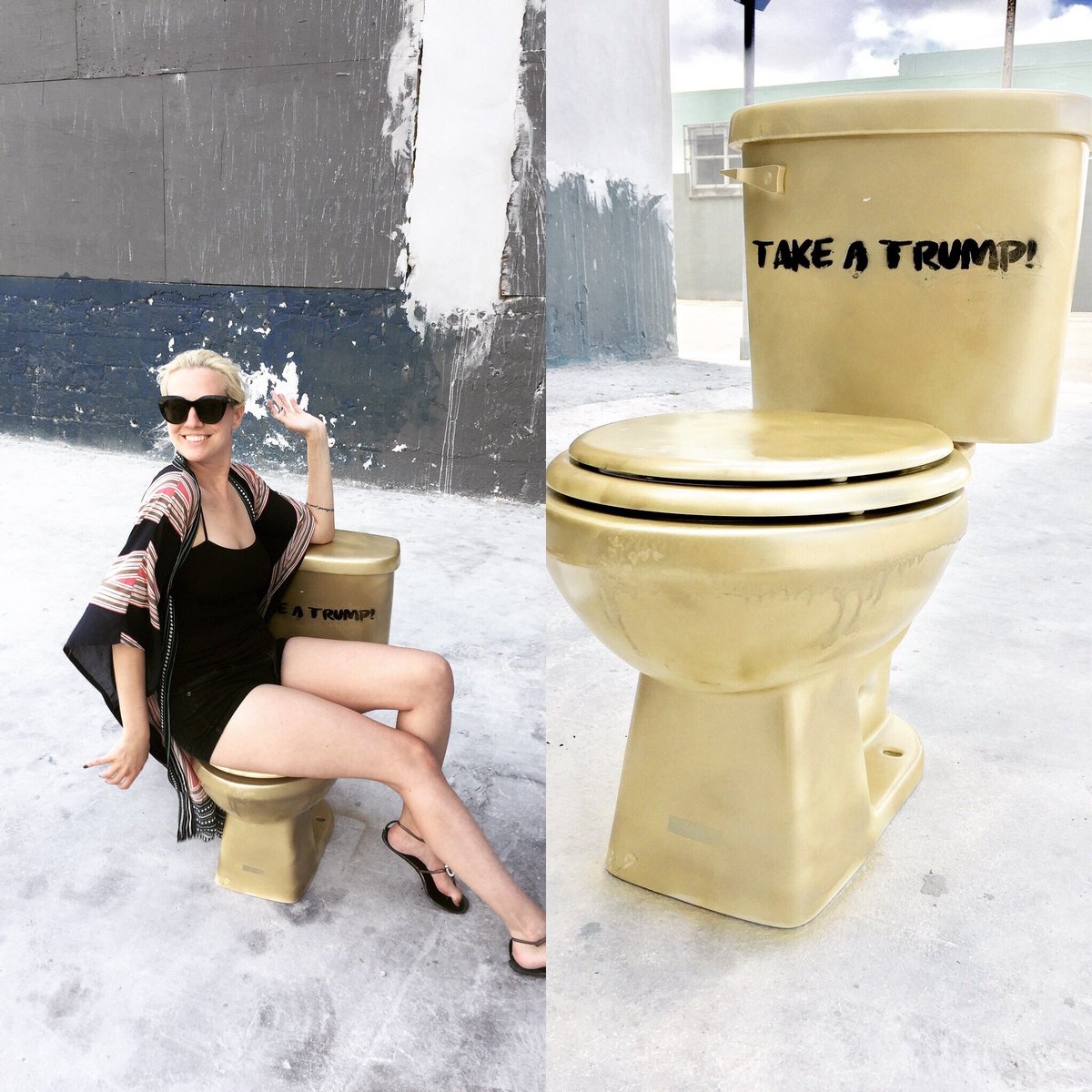 Image result for artfinksters take a trump toilets