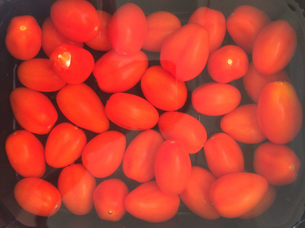 new things new things