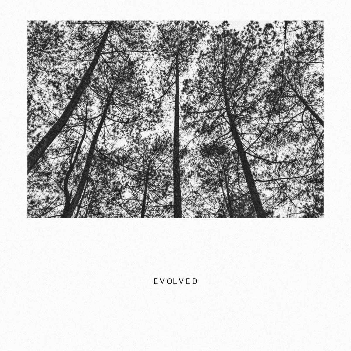 Hi! EP Evolved udah bisa didengerin juga di Spotify nih! 🙌🙏🙌 "Evolved apaan sih??" 🤔 cari tau langsung di ⇾ open.spotify.com/album/0EabrTlB…