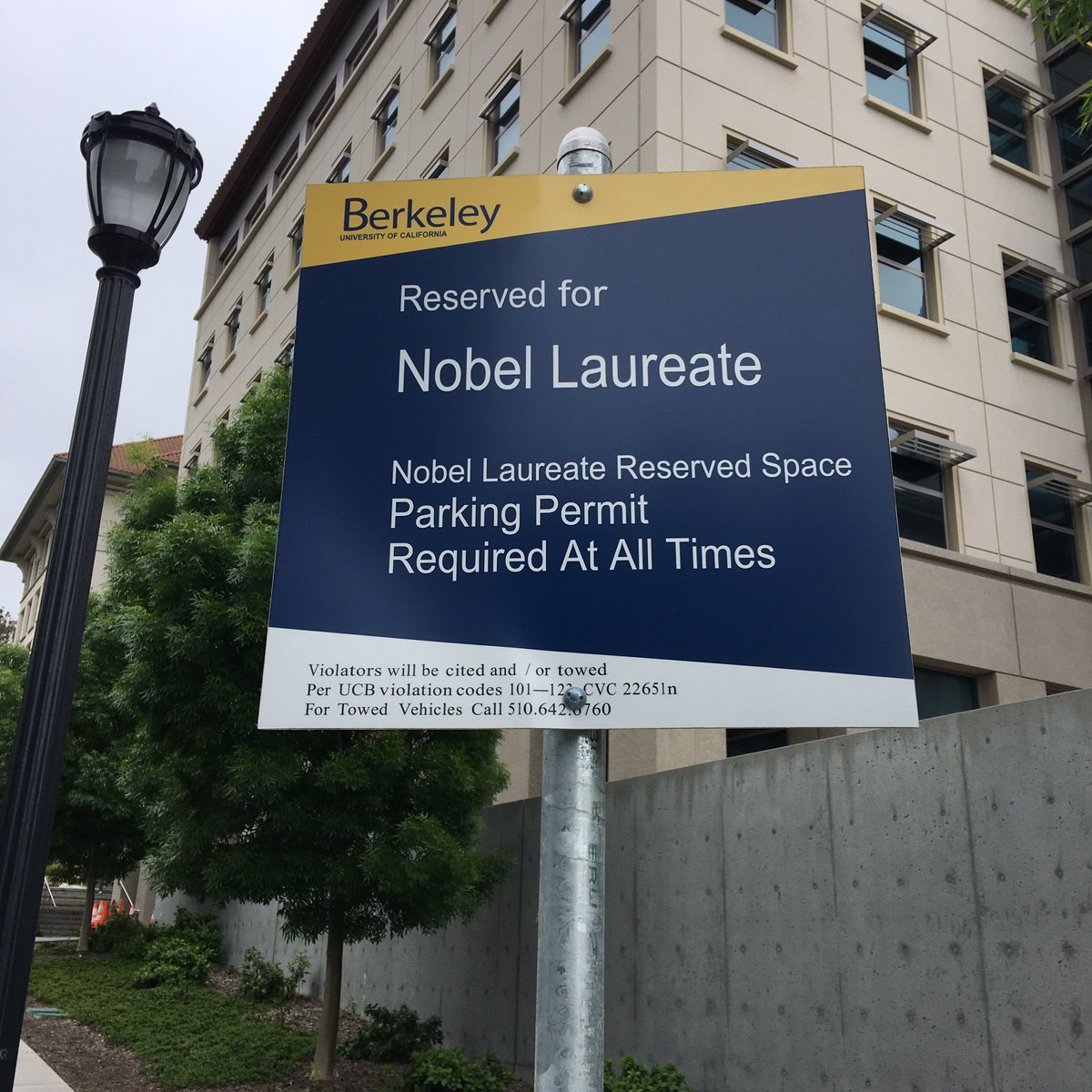 Biggest brains get the best parks at Berkeley. That incentive would work in NZ ...