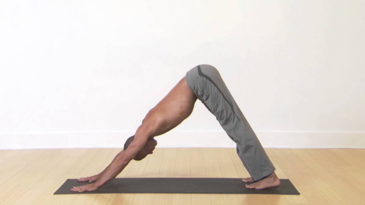 Quickjoin_Yoga's tweet image. Sun salutes for warming up the body qza.cz/HcGqy