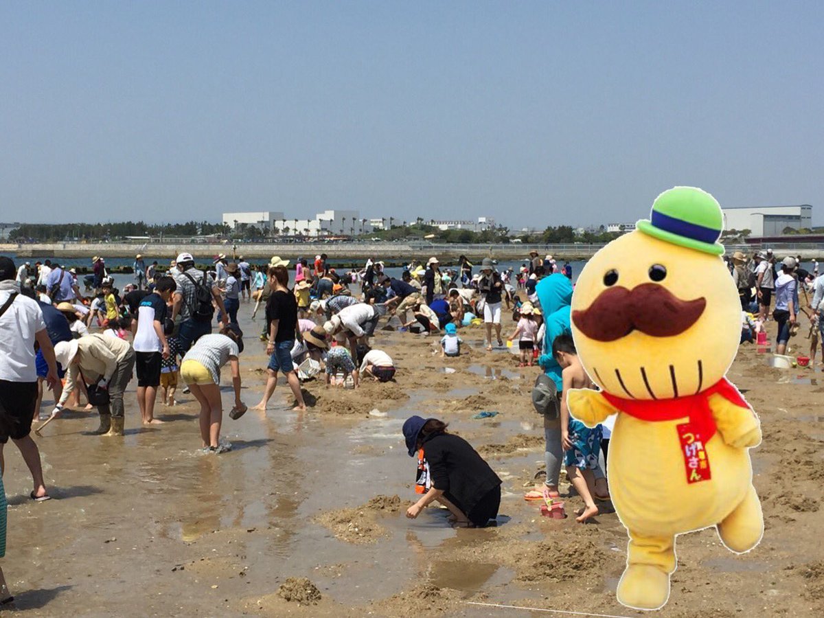 つげさん貝塚市イメージキャラクター 貝塚市の二色の浜では ６月４日まで潮干狩りが開催中だよ みんな 遊びに来てね 二色の浜観光協会 T Co Bkl942yfbh