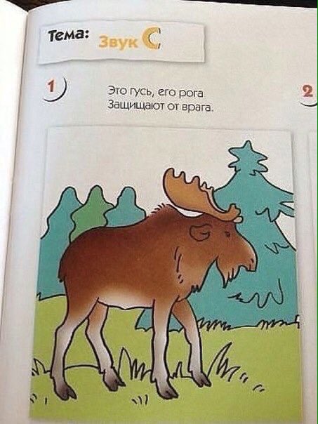 Никита ➕✖️ (@potapovich_n) on Twitter photo 