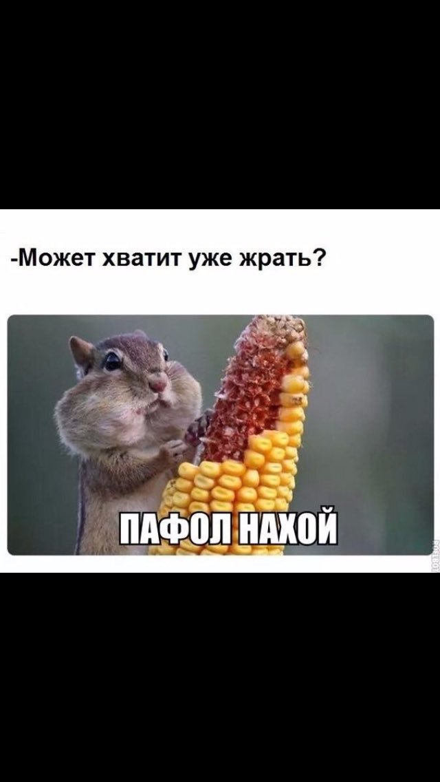 Никита ➕✖️ (@potapovich_n) on Twitter photo 