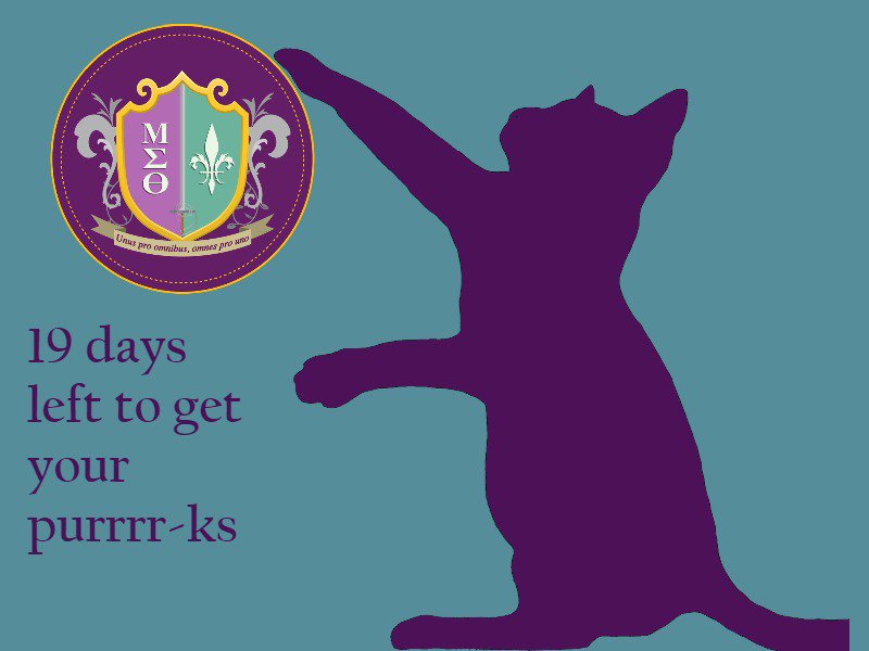 Make it happen! Donate to @A4OSeries igg.me/at/A4OS2  #all4owen #moreowenplease